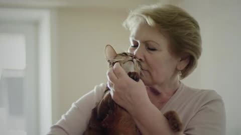 funny cat video