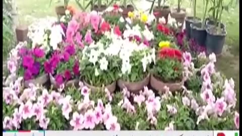 Bahria Town Islamabad Rawalpindi Flower and Lawn Show