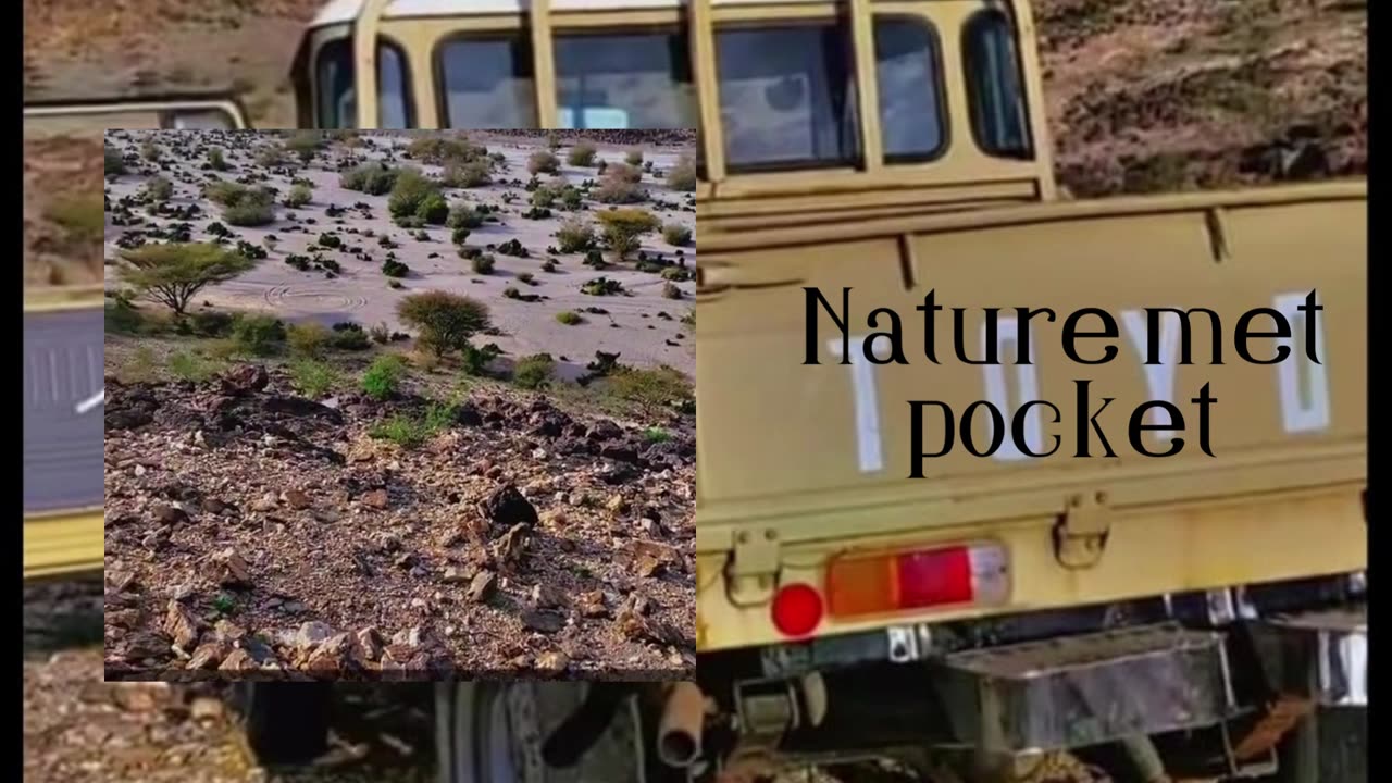 Nature met pocket