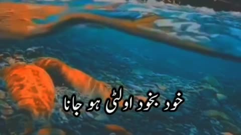 20 cheesein jin sy roza toot jata hai