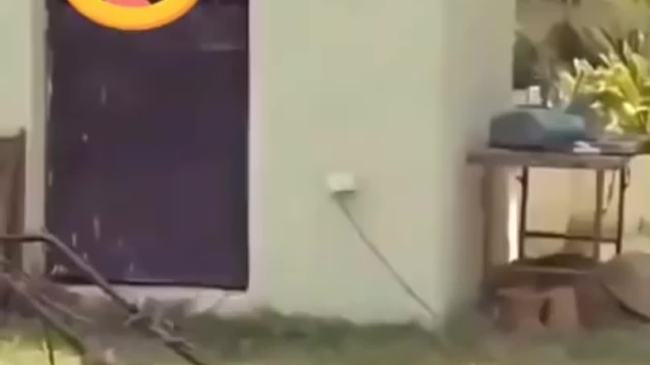 Most funny moments