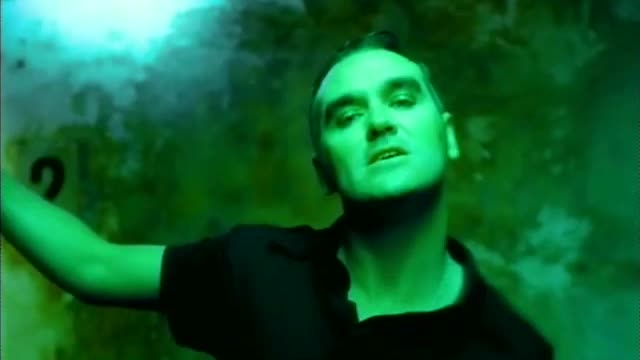 Morrissey Alma Matters