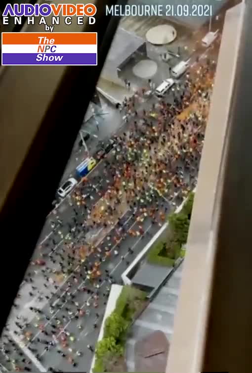 Aussie Construction Workers Plan To Do This Everyday