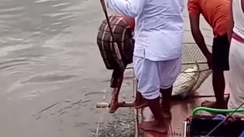 Grazy fish catch