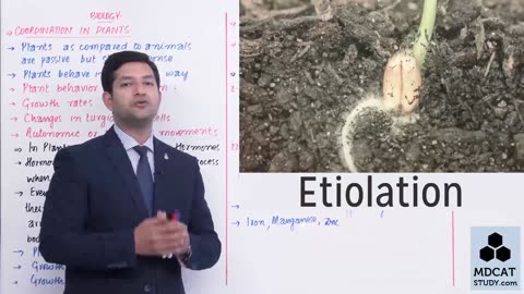 LEC#2 COORDINATION IN PLANTS