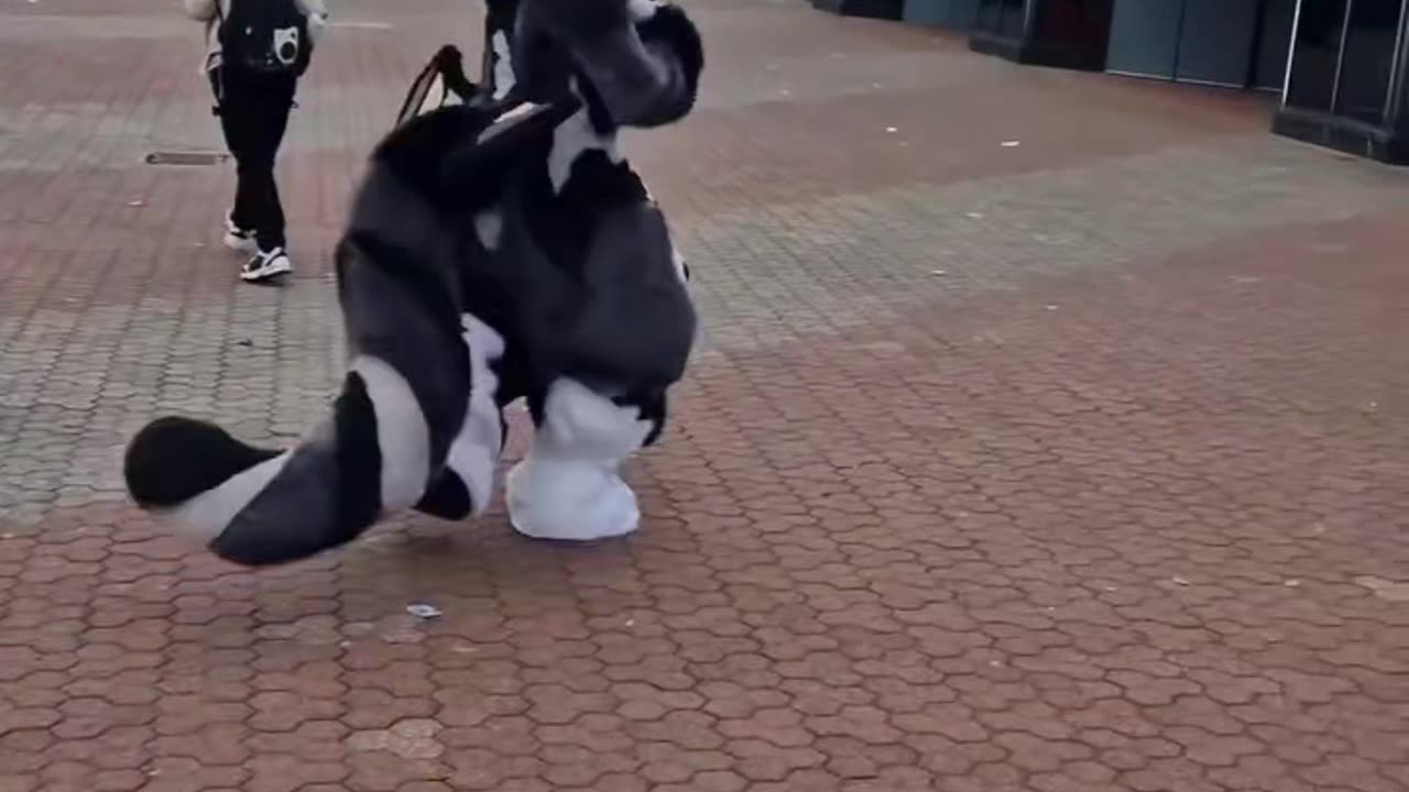 He Do A Little Run