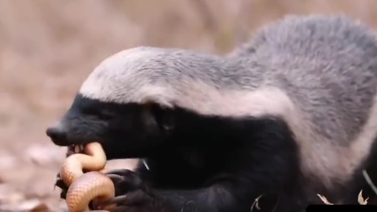 How to make a new car is in the worthy to get a new car