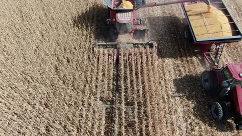 Fly around combine then grain cart