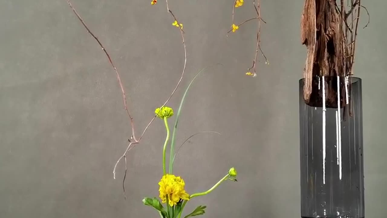 Flower ASMR