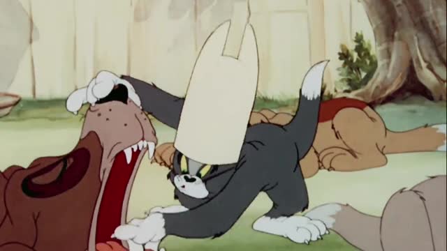 Tom and Jerry - puttin'n on a Dog