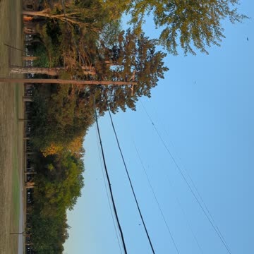 BradKuz76 Turkey Vultures Convention