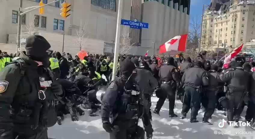 Ottawa - Police brutalize Canadian Veterans protecting citizens - Trudeau's Stasi Officers