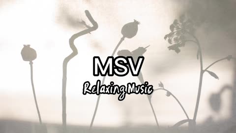 Relaxing Music | Sleeping, Meditation, Stress Relief | [7290] ⭐️
