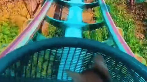 Funny cat riding roller-coaster