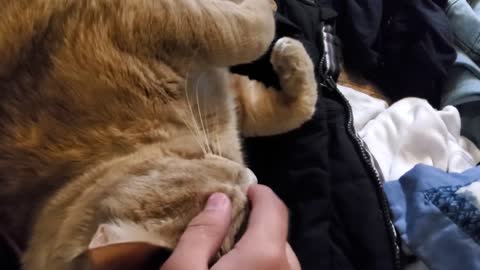 awwww