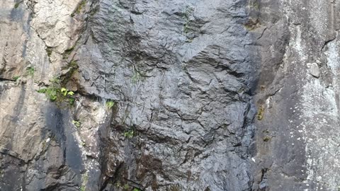 20190805_V3_S03(smX1VZ9j7gY)신기한 자연현상! 나라 걱정에 하염없이 눈물만