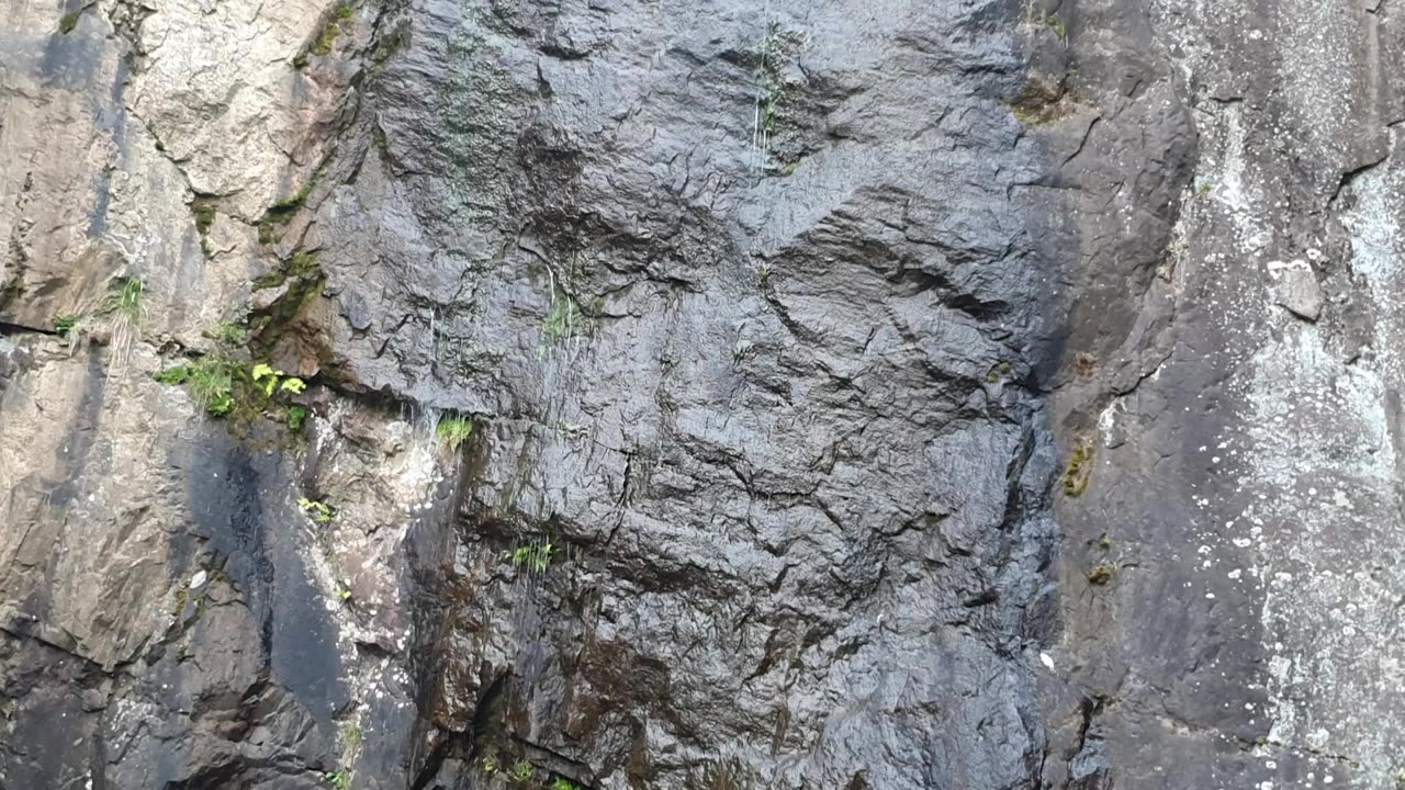 20190805_V3_S03(smX1VZ9j7gY)신기한 자연현상! 나라 걱정에 하염없이 눈물만