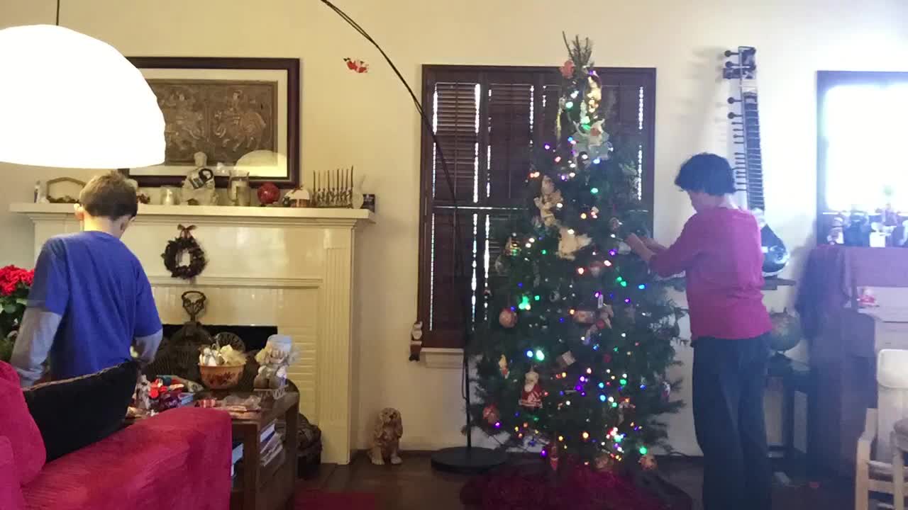 Stop motion Christmas Tree decorating!