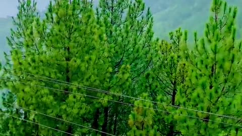 Amazing and beautiful view of Kashmir