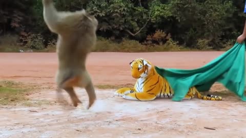Monkey 🐒 surprised 🙀