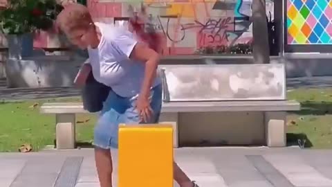 funny videos