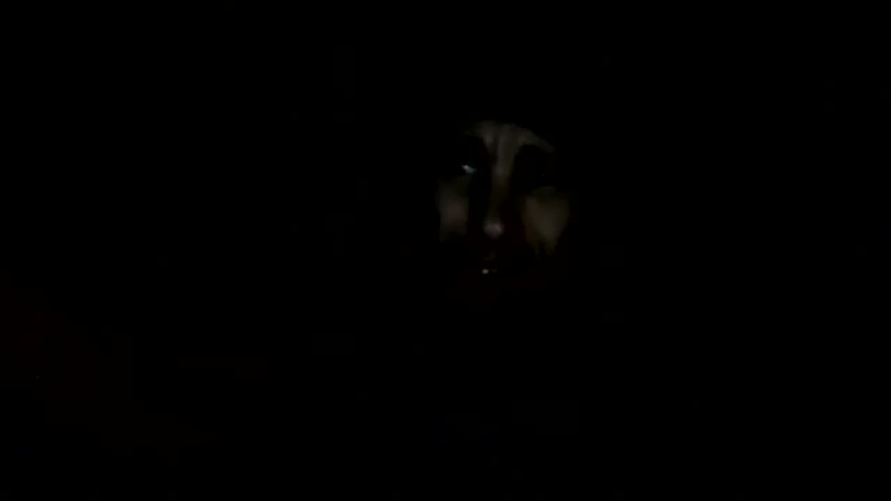 [Cyraxx Youtube 2020-5-15] Skxrface - u never Cared about me at all