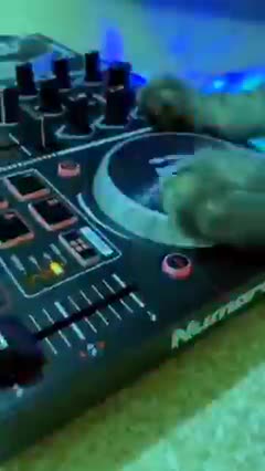 DJ MIAU😻😹😻