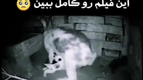 سبحان الله