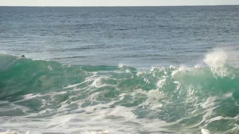 Mason Ho & Adam Crawford Surf The Pile