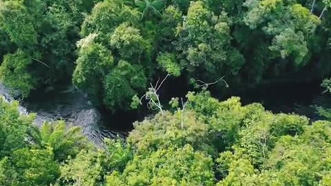 Relaxing Music | Sleeping, Meditation, Stress Relief | [1467] ⭐️