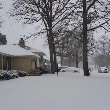 Just having a little fun in the snow!