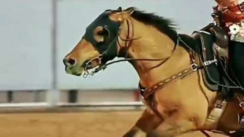 How much is a rahi me know if you need anything