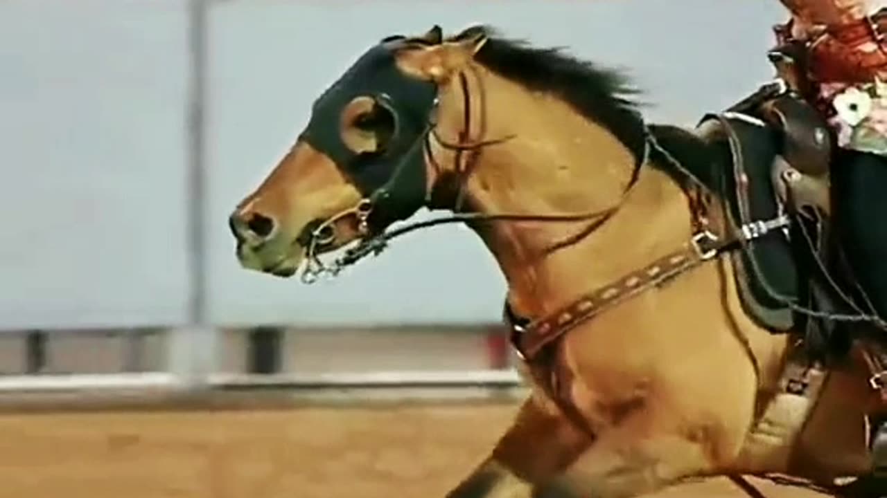 How much is a rahi me know if you need anything