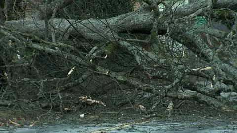 Devastating winter storm leaves destruction and death behind