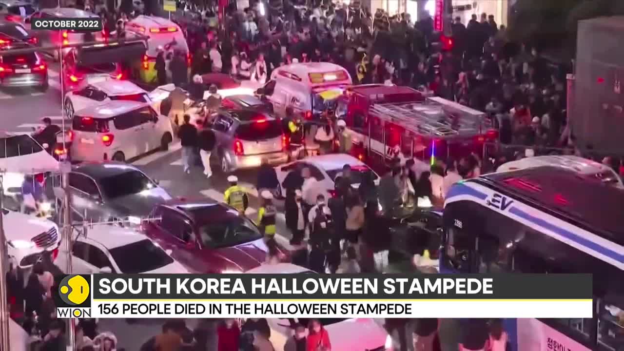 South Korea Halloween stampede's under-investigation police officer found dead | Latest News | WION