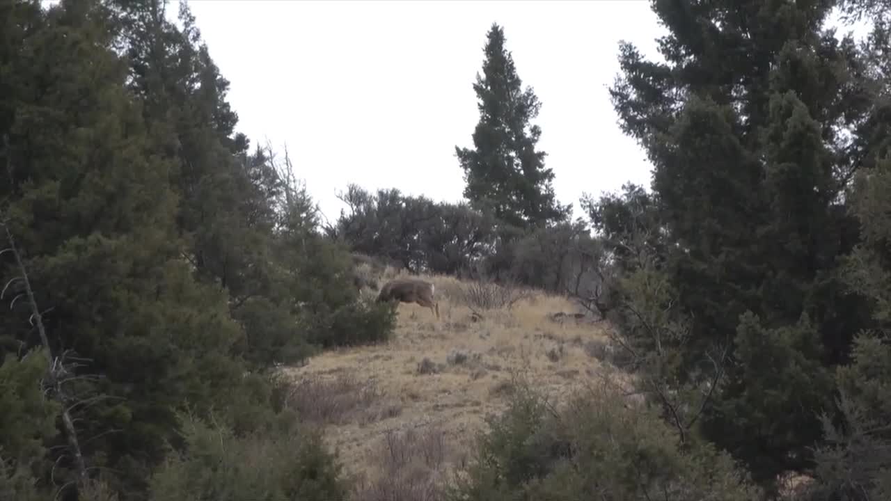 Slow day but fun anyway