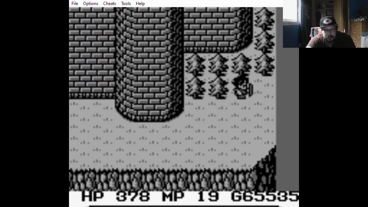 ZuperNEZ Plays Final Fantasy Adventure Part 13