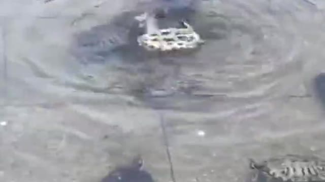 The turtle went crazy, turned himself back around 360 degrees, turned himself back around