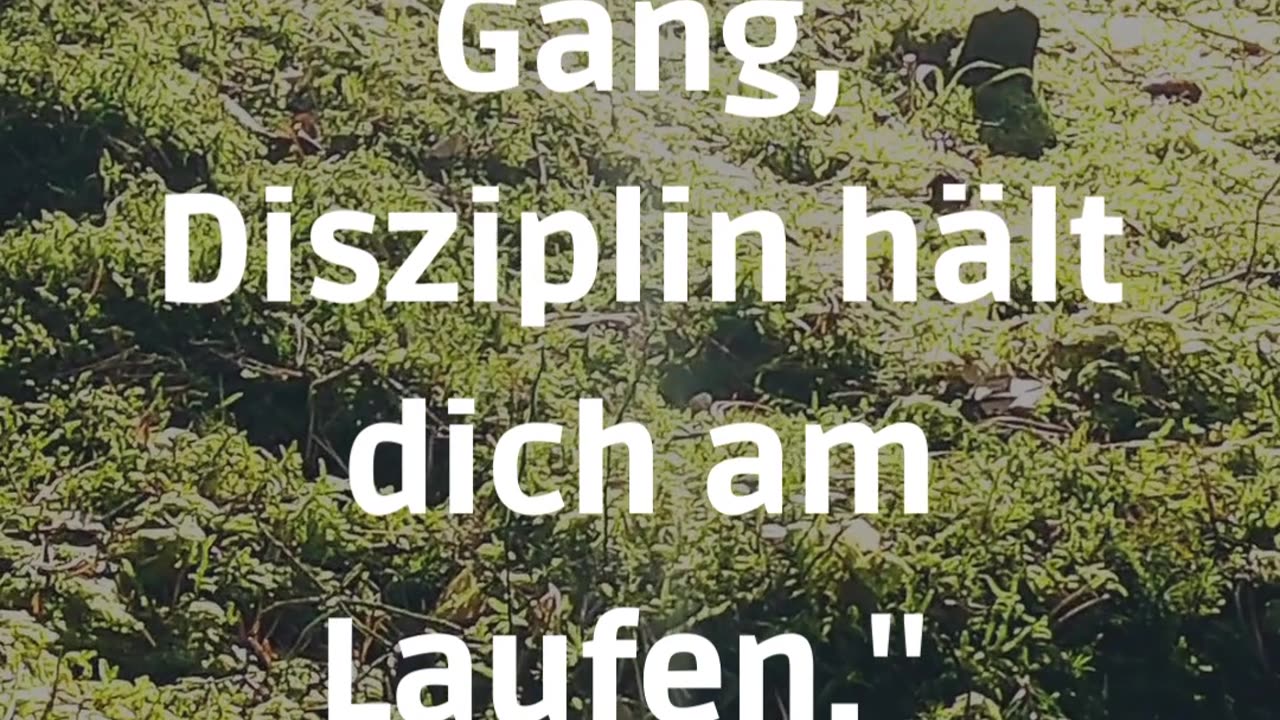 Motivation und Disziplin