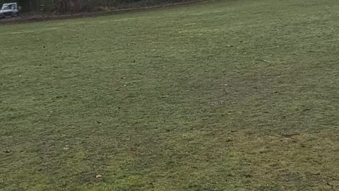 Christs blood possible location in England returned to Bon Hommes Hertfordshire myth ?
