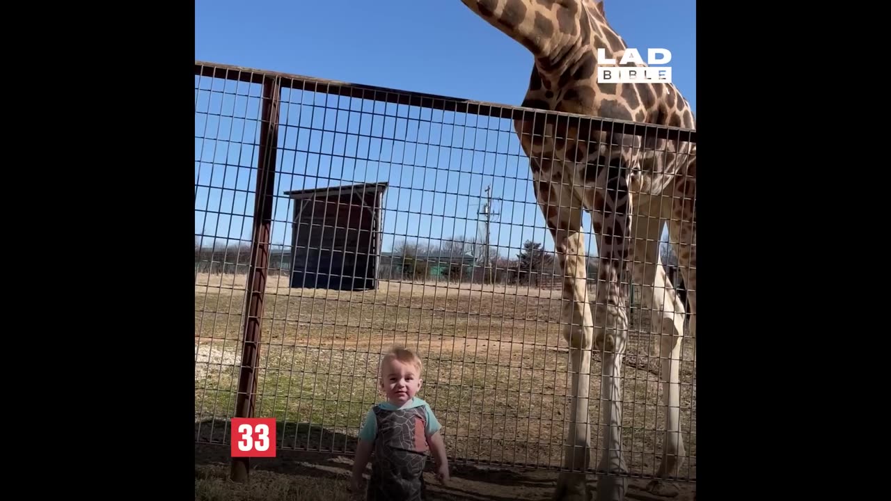 Cutest babies reaction