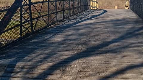 Old Erie Canal at Cedar Bay