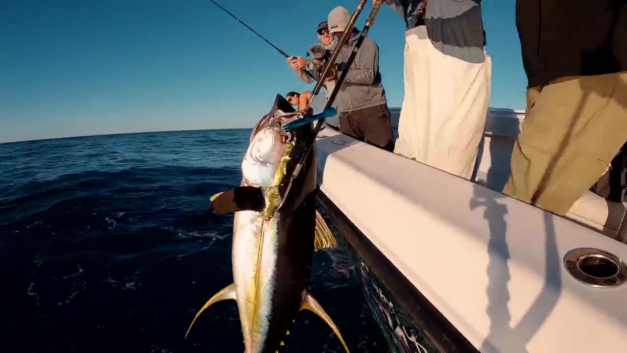 Underneath the World's Largest Oil Rig, Giant Tunas! Cook Cleaned Up