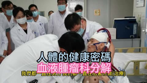 人體的健康密碼 血液腫瘤科分解