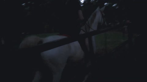 Horse (Junie) under saddle at Dusk