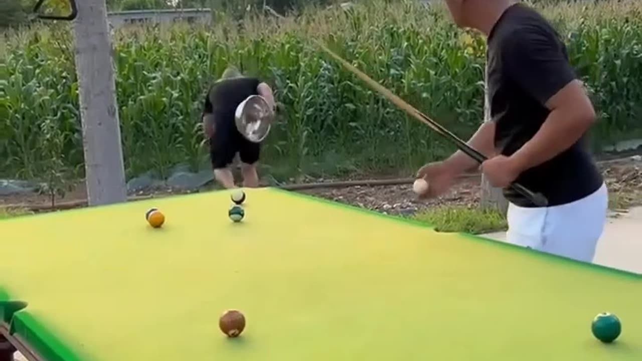 Very Clever Player 😂😂