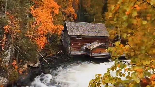 The feeling of autumn in Finland Autumn