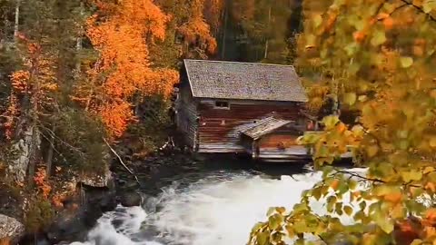 The feeling of autumn in Finland Autumn