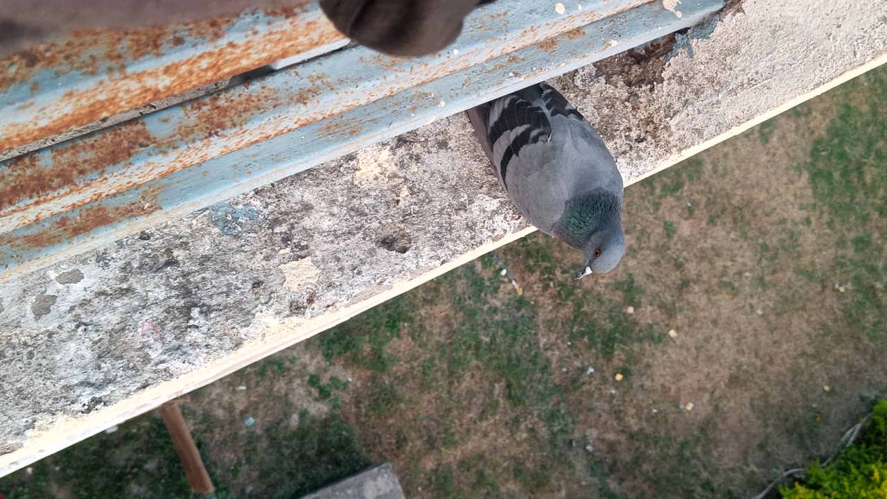 Beautiful nature