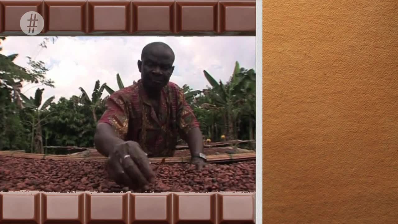 Chocolate In Numbers